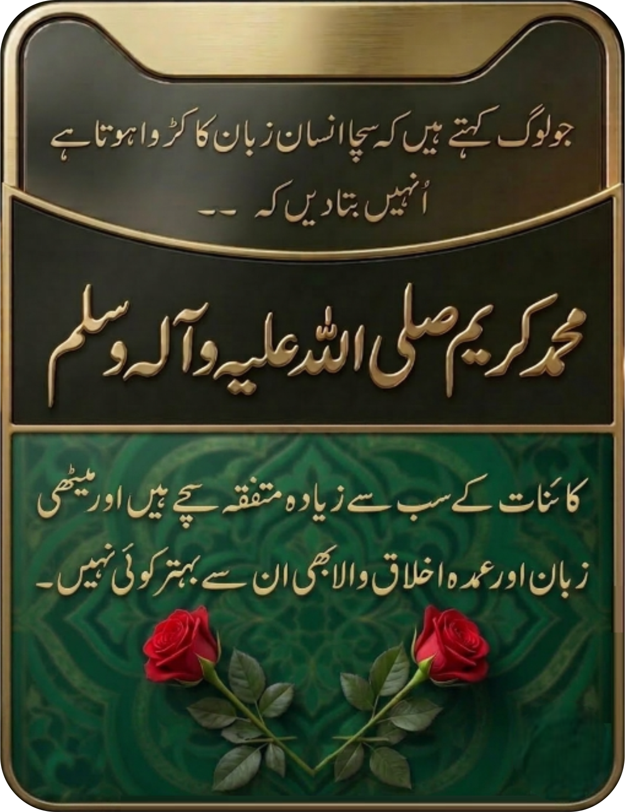 Premium Muslim Matchmaking